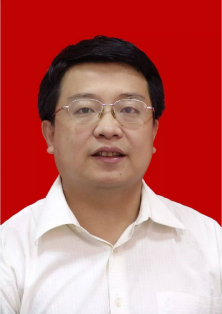 H动漫