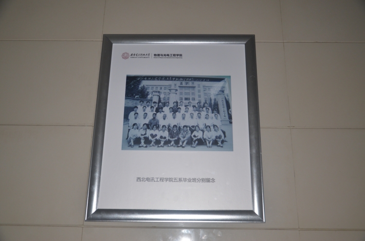 H动漫