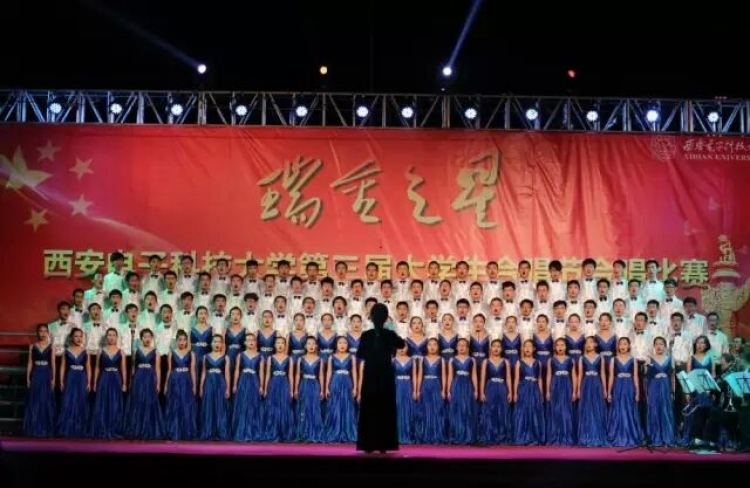 H动漫