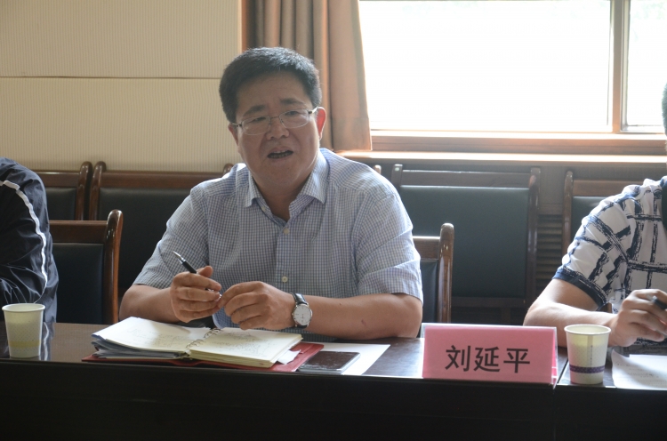 H动漫