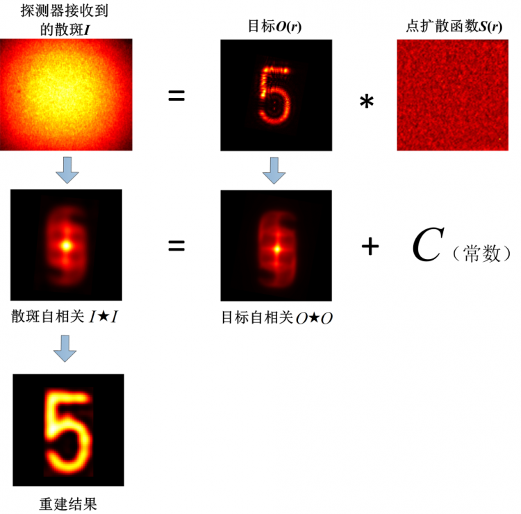 H动漫