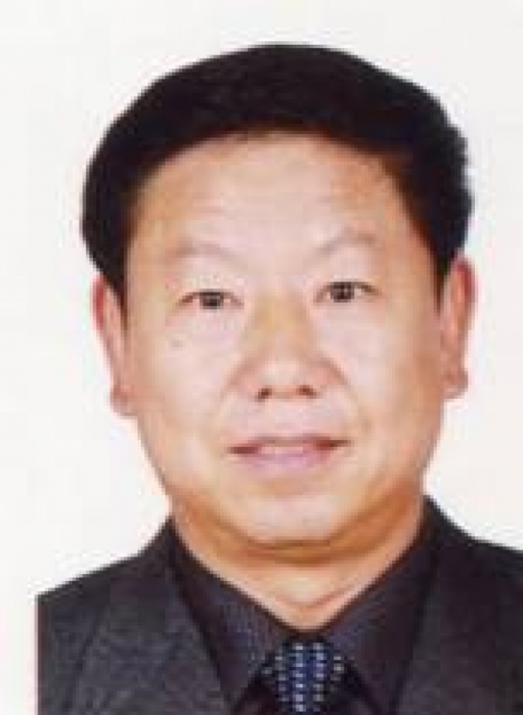 H动漫