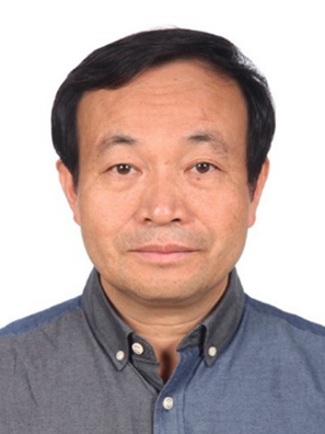 H动漫