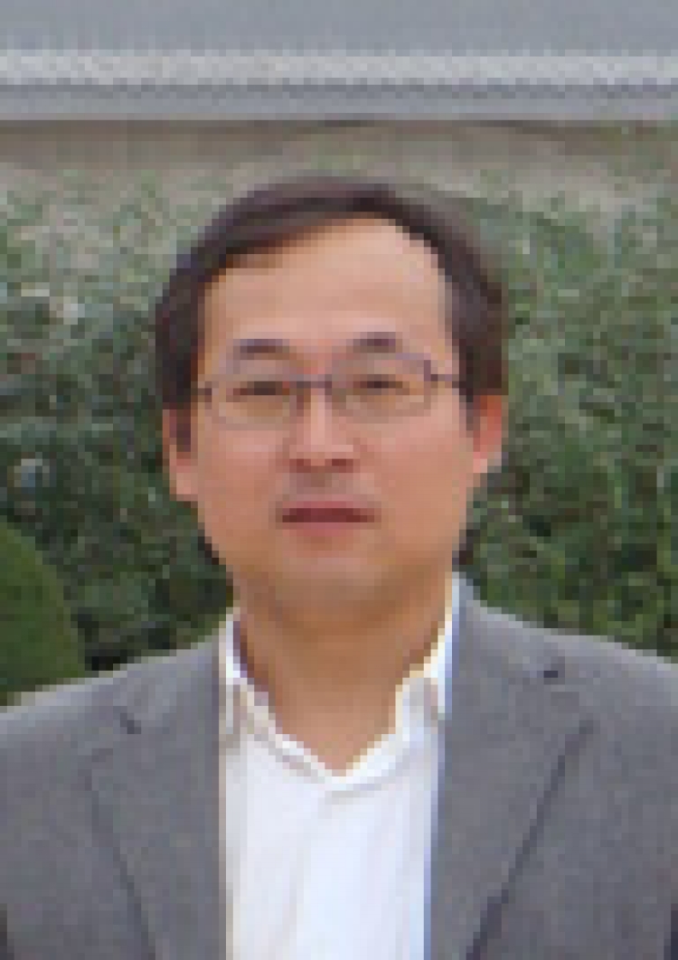 H动漫