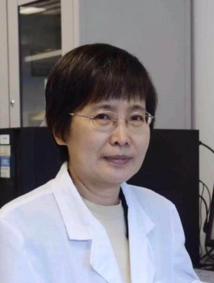 H动漫